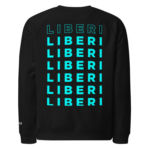 SWEATSHIRT GLITCH - LIBERI LIBERI VAV 23